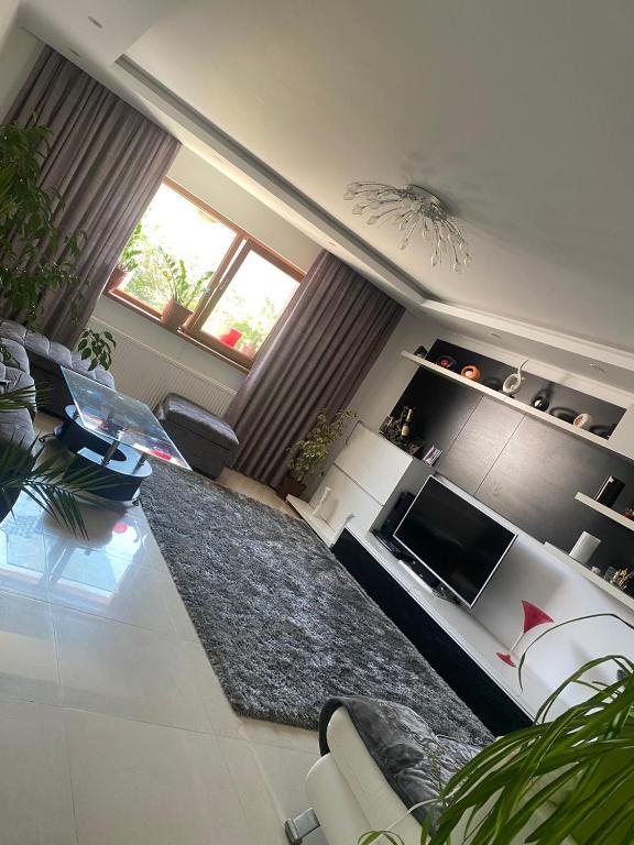 a living room with a kitchen and a living room with a stove at Vila Eduard in Mamaia Sat/Năvodari