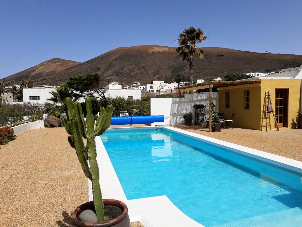 a cactus in a pot next to a swimming pool at VV - Casa Para Ti in La Asomada