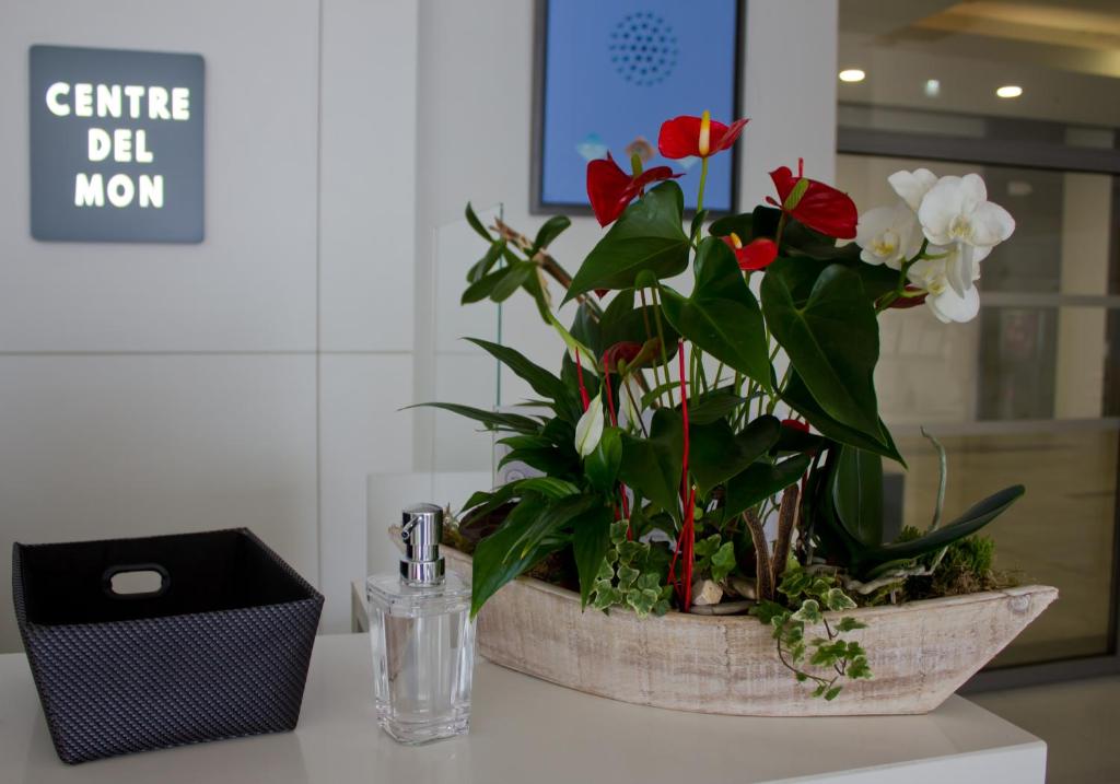 Фотография из галереи Kyriad Prestige Perpignan Centre Gare в Перпиньяне