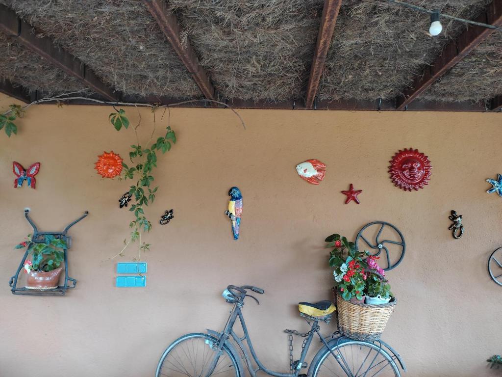 Jazda na bicykli v okolí ubytovania Can Nentia