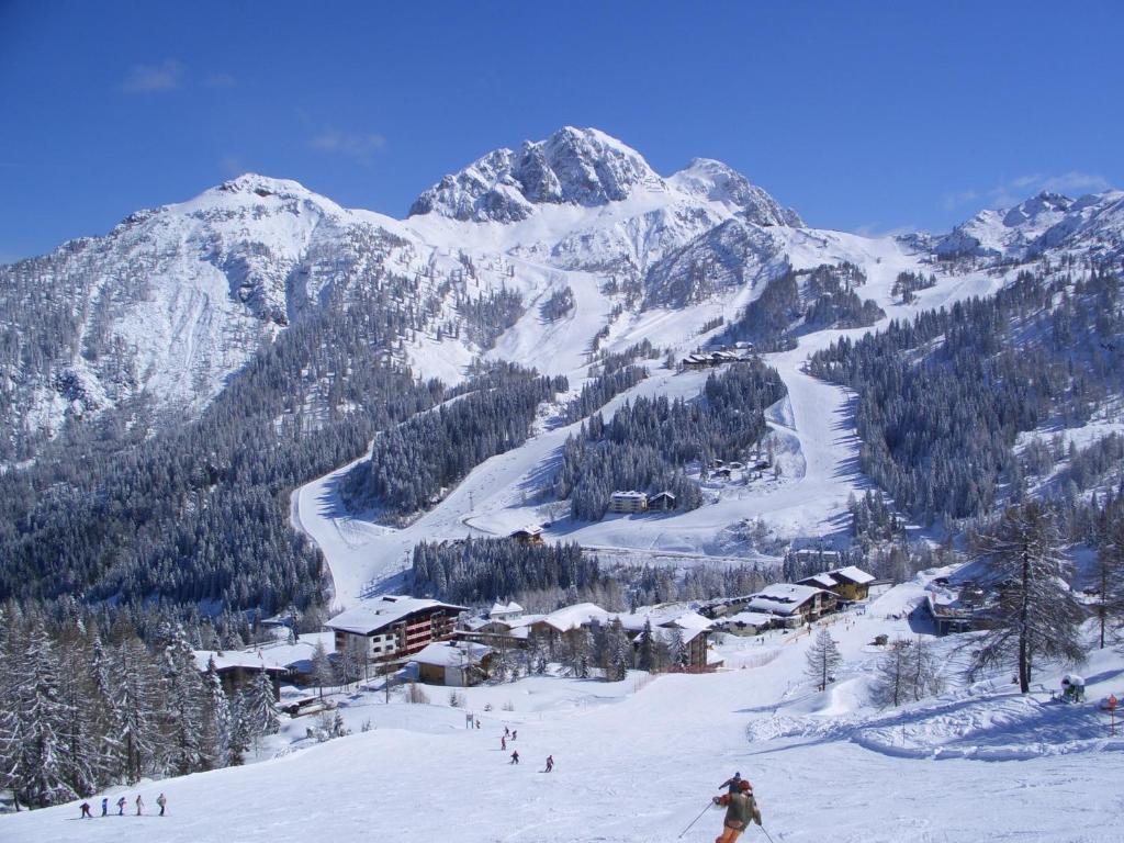 Apartment Margret im Haus Sonnleitn im Winter