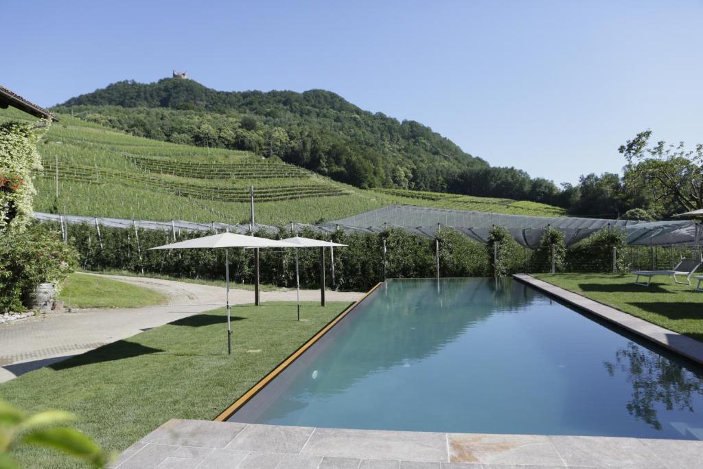 a swimming pool with an umbrella next to a vineyard at BNB Garni Kreithof in Caldaro