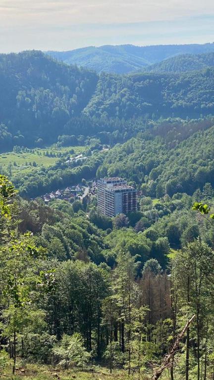 Příroda nedaleko hotelu