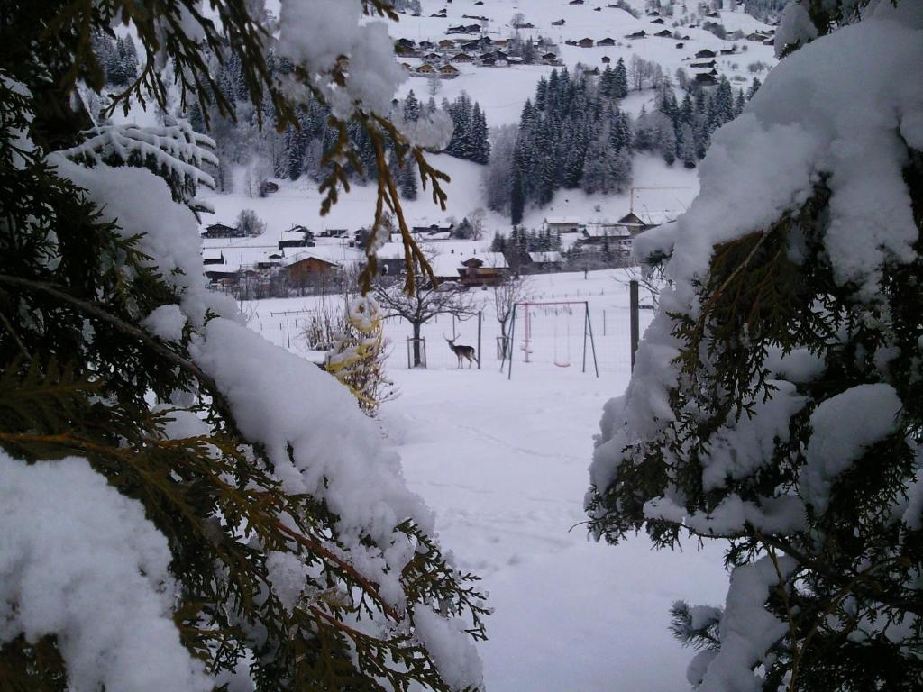Schweiz ,Lenk Ferienwohnung,Kinderfreundl,Seniorenfreundlich v zimě