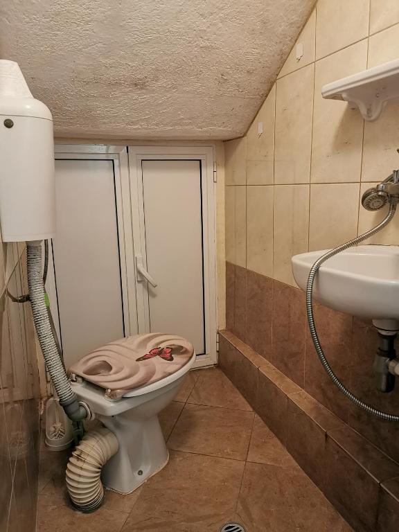 Fotografie z fotogalerie ubytování Cute studio v Sofii