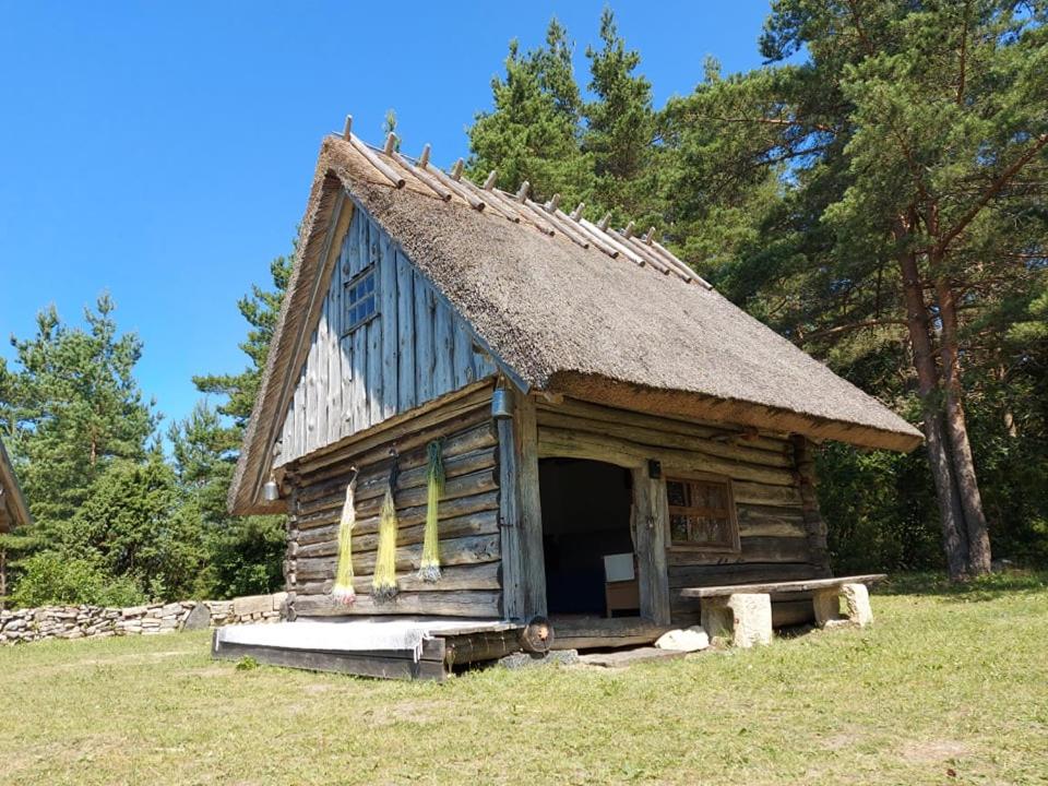 una antigua cabaña de madera con techo de hierba en Elamusmajutus Intsu Võrgukuuris en Liiva