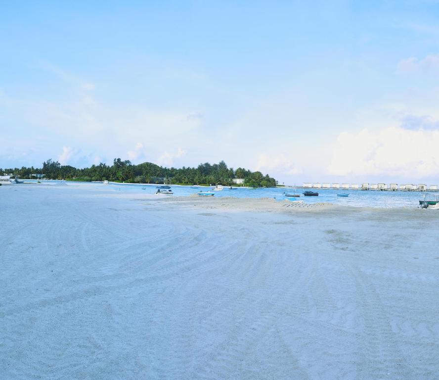 La Isla Tropica - 19