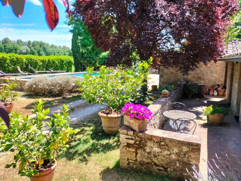 Vonkajšia záhrada v ubytovaní B&B Palazzo a Merse