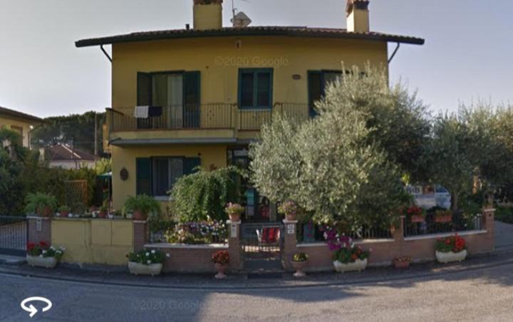 a yellow house with a tree in front of it at BED & BREAKFAST Villa Cerasa in Case del Bevano