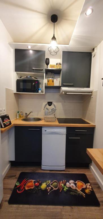 a kitchen with a counter and a sink and a kitchen rug at Appartement Ajaccio vue mer panoramique in Ajaccio