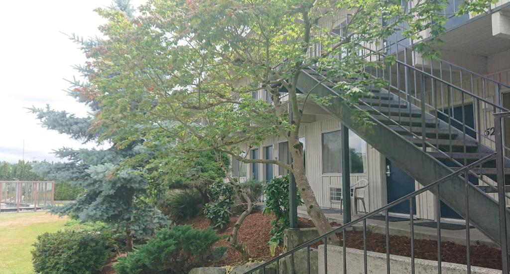 a building with a staircase next to a tree at Cocusa Motel in Burlington