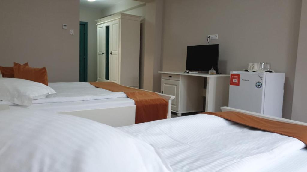 Pensiunea Green Villa - Deluxe Triple Room