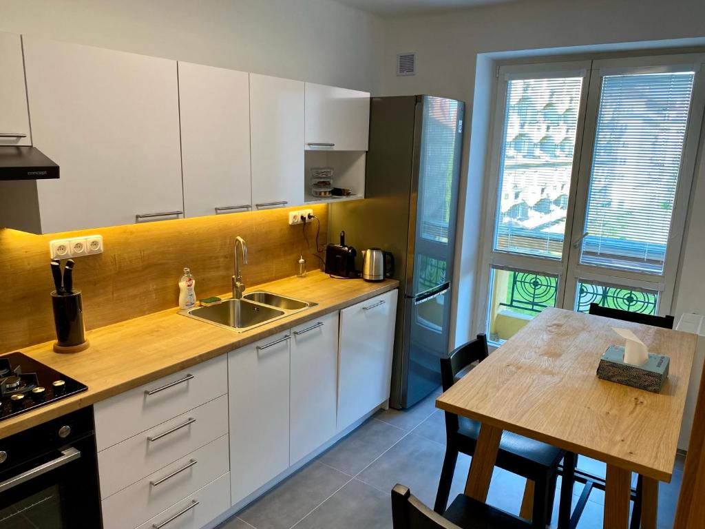 Kuchyň nebo kuchyňský kout v ubytování Apartment Poruba GARDEN VIEW