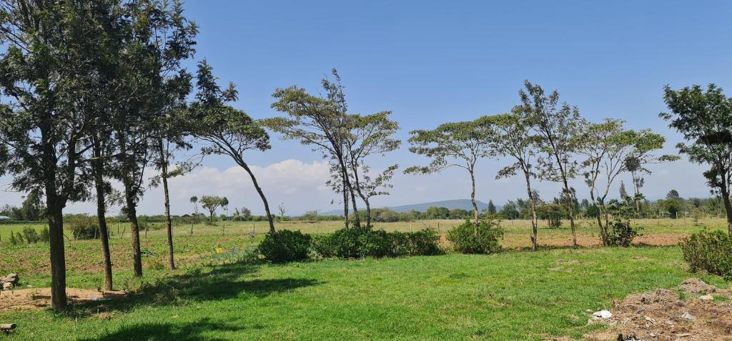 a field of grass with trees in the background at Le Tai Village Resort near Solio Game Reserve in Mweiga