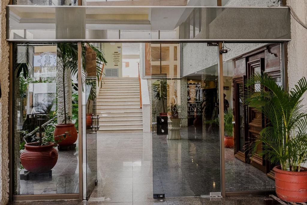 Exteriér nebo vchod ubytování Hotel Los Aluxes