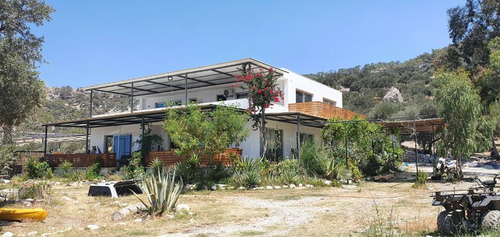 a white house with plants on the side of it at Villa Camelion in Kaş