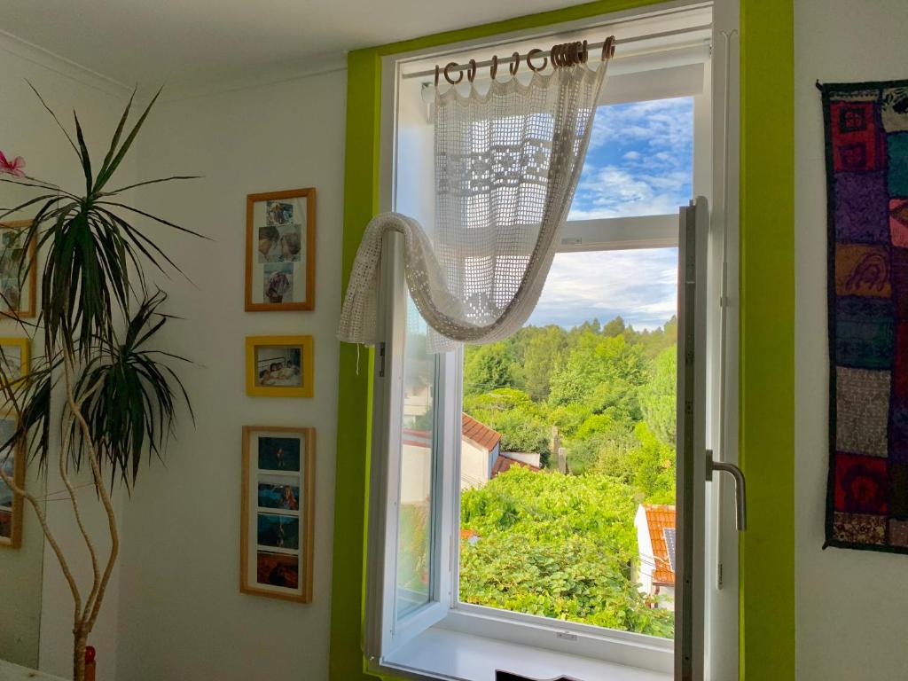 Casa do Paço Aveiro - Studio&Rooms - 10