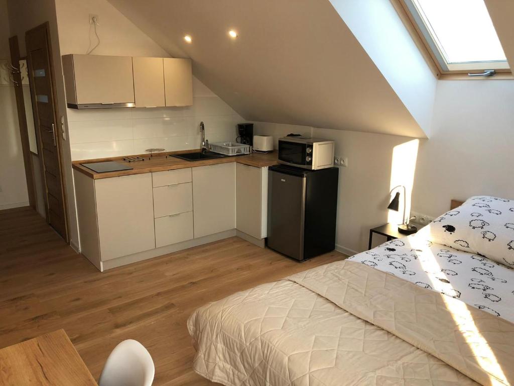 Kuchyňa alebo kuchynka v ubytovaní Apartamenty Asturia Rymanów Zdrój