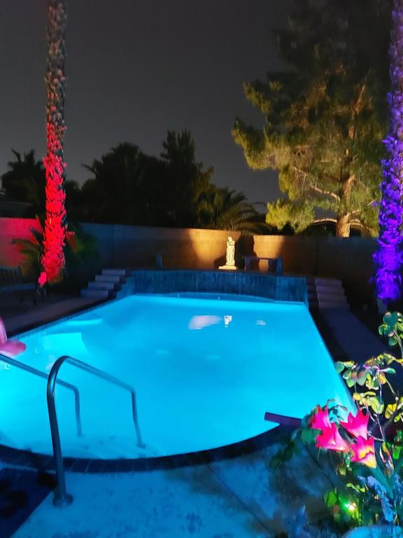 a swimming pool lit up at night at CATmosphere 2 in Las Vegas