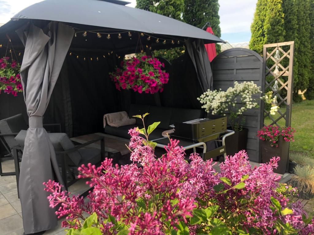 czarny namiot z różowymi kwiatami w ogrodzie w obiekcie Apartamenty Arkadia przy Amfiteatrze w mieście Mrągowo
