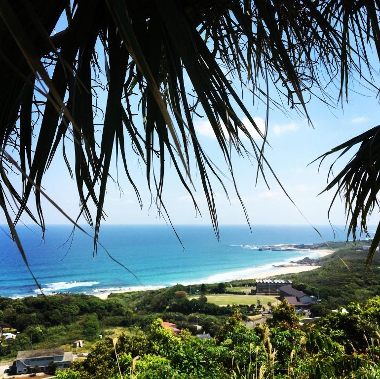 uma vista para a praia a partir de uma palmeira em Ikokujyoucho - Vacation STAY 35774v em Nishinoomote