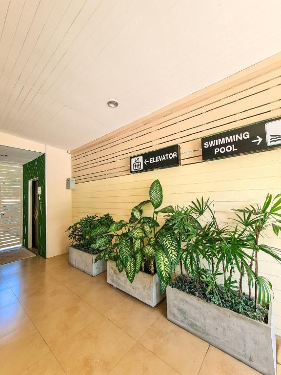A planted indoor corridor leads toward the elevator and swimming pool.