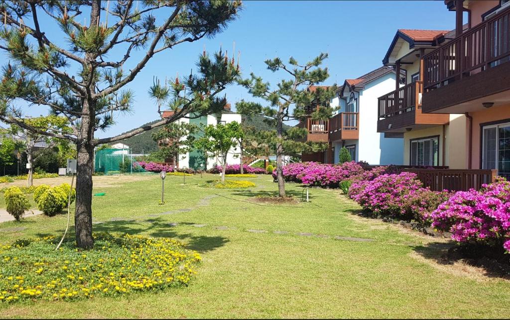 Zahrada ubytování Jeju Time-Travel Pension