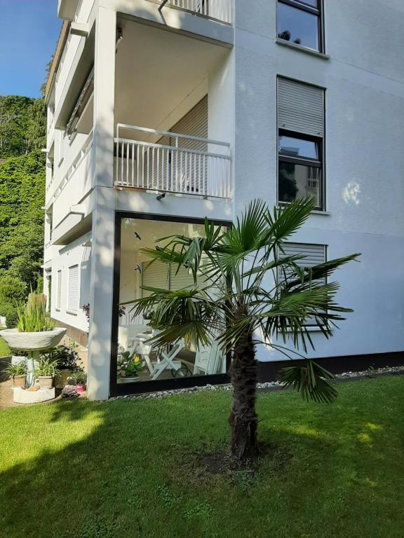 At the Lichtentaler Allee Apartment - Appartement