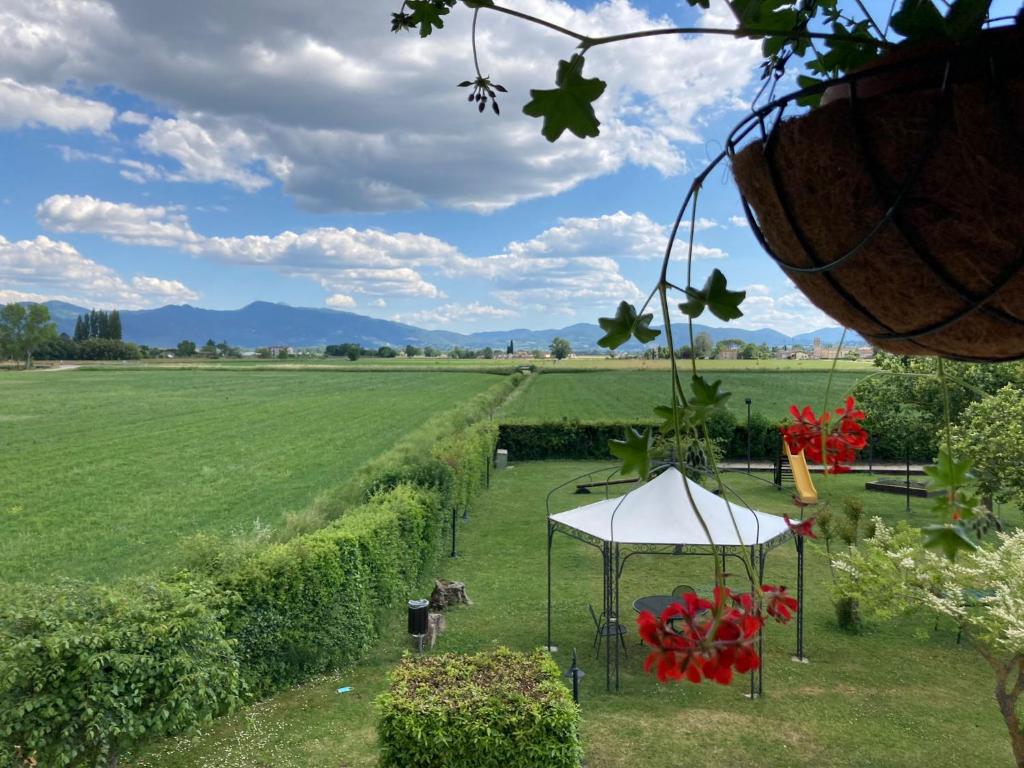 una tienda blanca en medio de un campo en Agriturismo Il Casale Grande, en Beroide