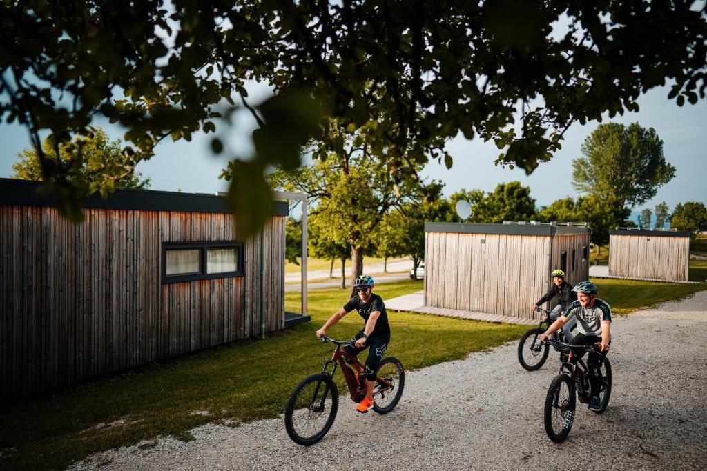 Jízda na kole v ubytování Chaletpark Petzen nebo okolí