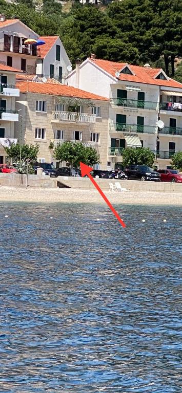 Príroda v okolí apartmánu