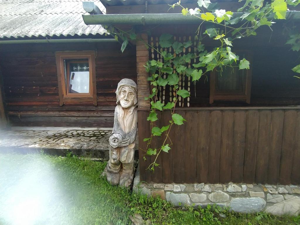 Zahrada ubytování Starovitska Hata - Ethno-cottage