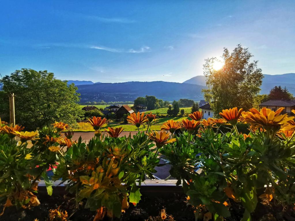 Paesaggio naturale nelle vicinanze del bed & breakfast