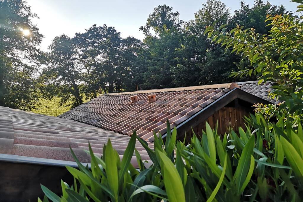 dach domu z drzewami w tle w obiekcie Cabane chic et romantique MERLOT près de Bordeaux w mieście Saint-Sulpice-et-Cameyrac