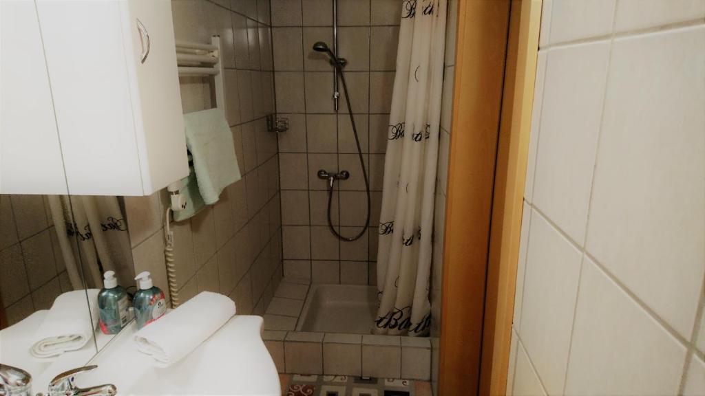Koupelna v ubytování Obereinschneithof