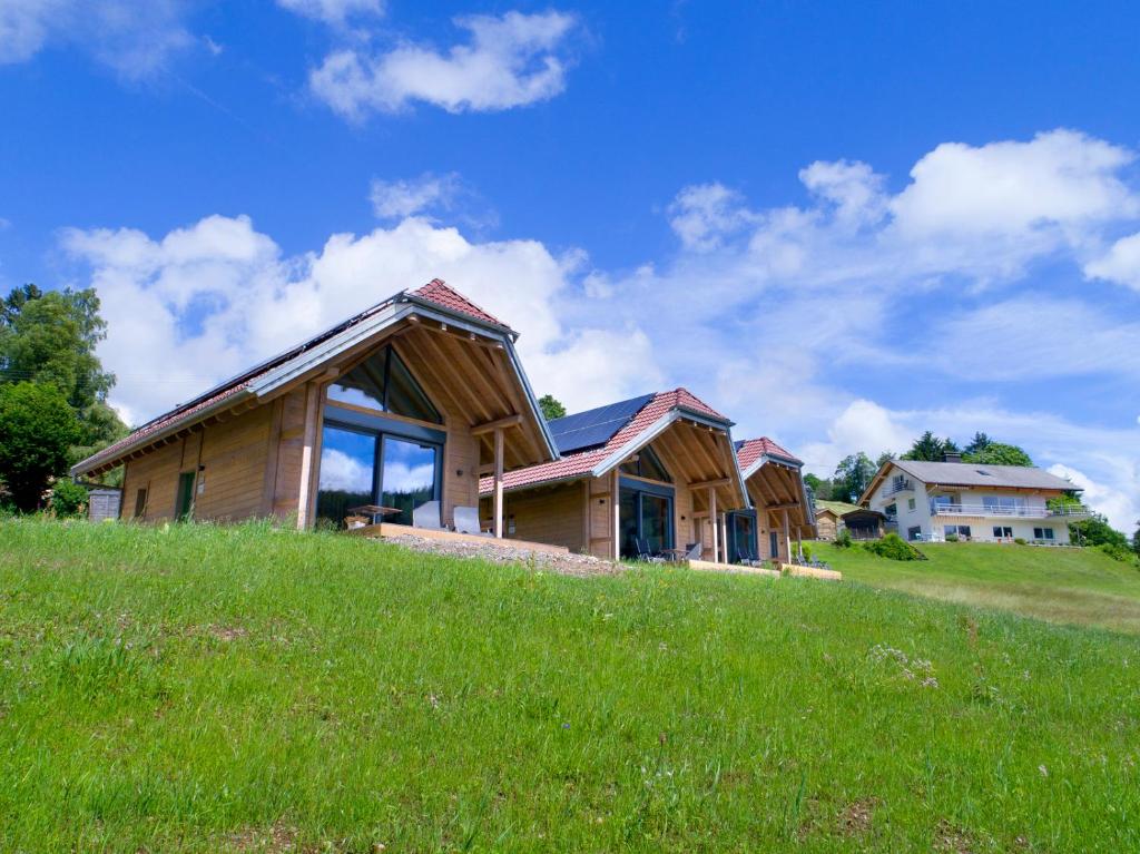 uma casa no topo de uma colina relvada em Chalets am Rößle em Todtmoos