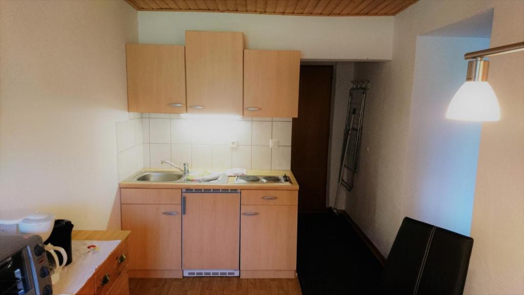 Kuchyň nebo kuchyňský kout v ubytování Obereinschneithof