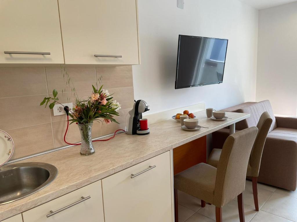 Kuchyň nebo kuchyňský kout v ubytování NOVALJA APARTMENTS by NENA