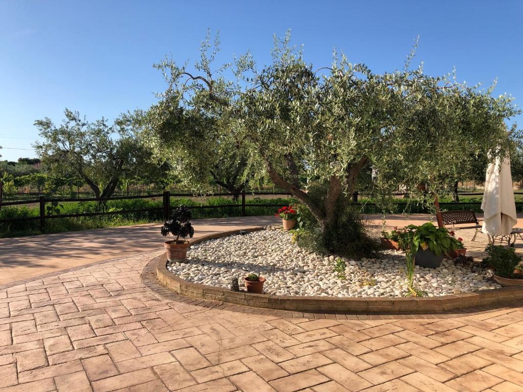 Zahrada ubytování B&b Villa Eden