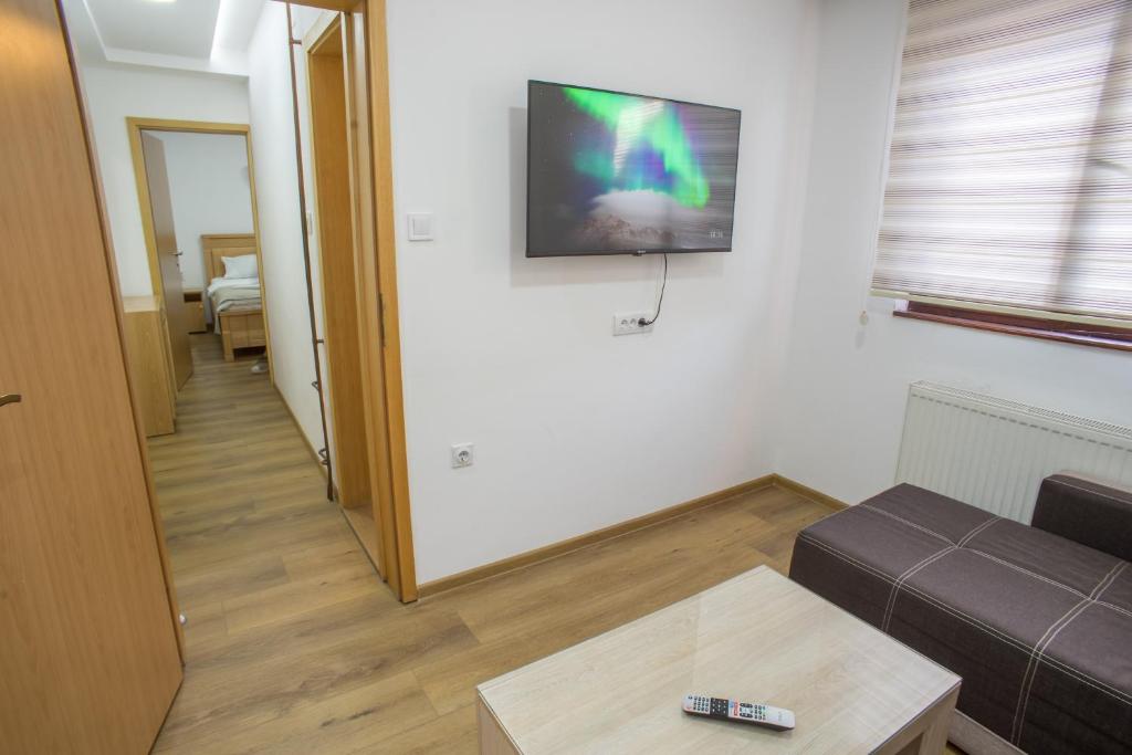 TV a/nebo společenská místnost v ubytování Hotel Pavlović