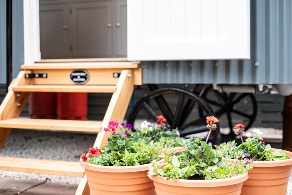 Gallery image of Trevone Luxury Shepherds hut close to the beach in Saint Merryn