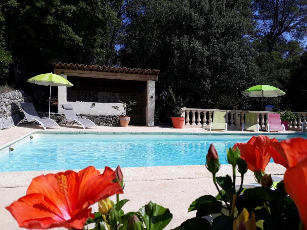 una piscina con 2 sombrillas y flores rojas en Le Mas des Hibiscus, en Trans-en-Provence