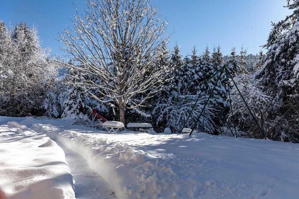 a snow covered yard with a picnic table and a tree at Le Tintinnabule in Villard-de-Lans