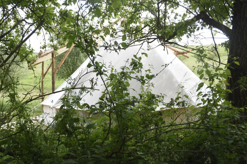 Příroda nedaleko luxury tent