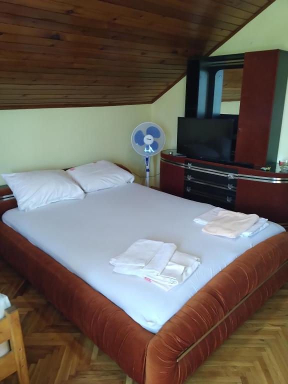 1 dormitorio con 1 cama y TV en HOSTEL BATA II Trokrevetne sobe en Kanjiža
