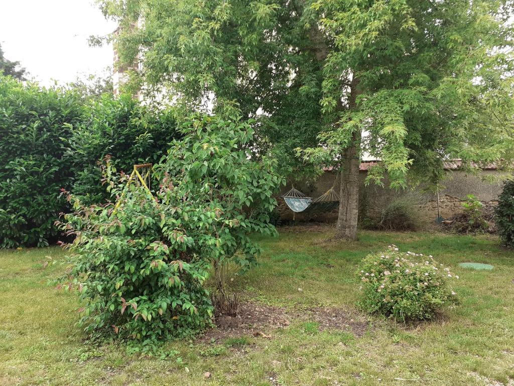 a bush in a yard with a tree at Ancien Presbytère in La Chapelle-dʼAngillon