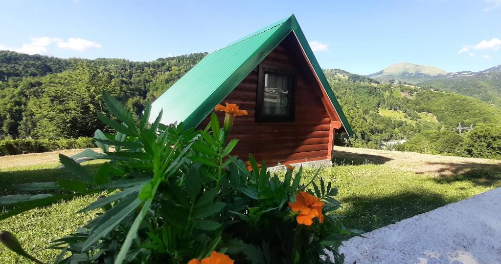 a small cabin with a green roof and flowers at Etno selo ŽURIĆ in Mojkovac