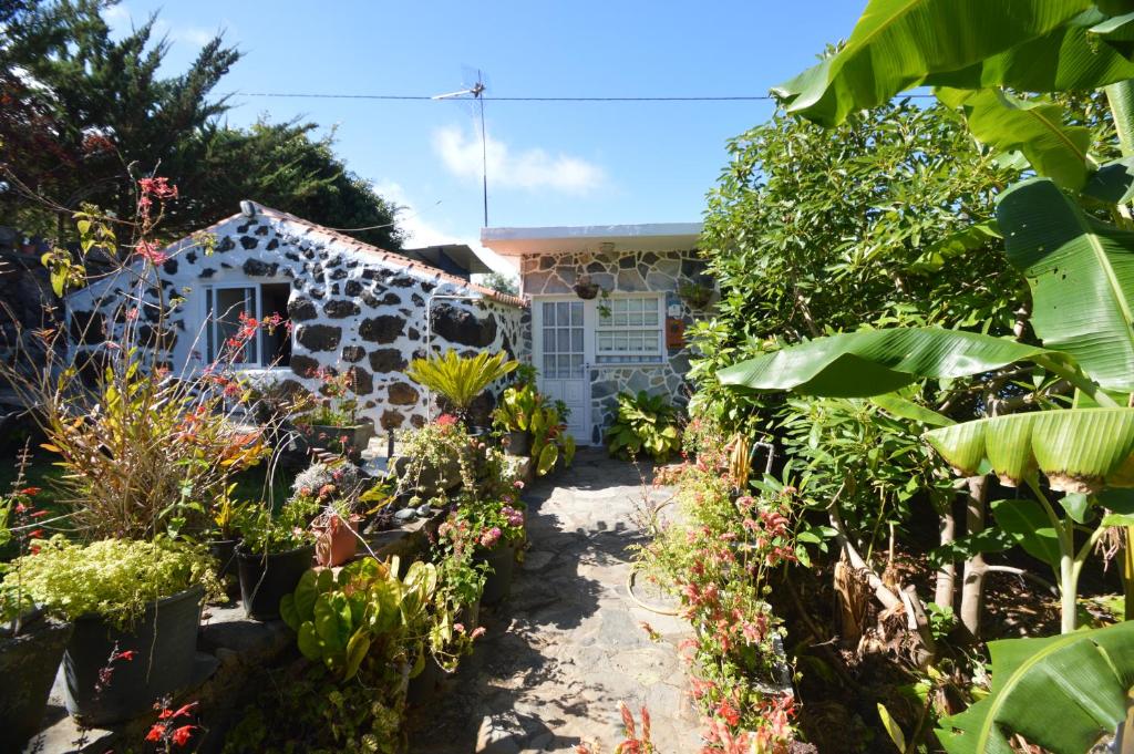 a garden in front of a house with plants at Inés in Tijarafe