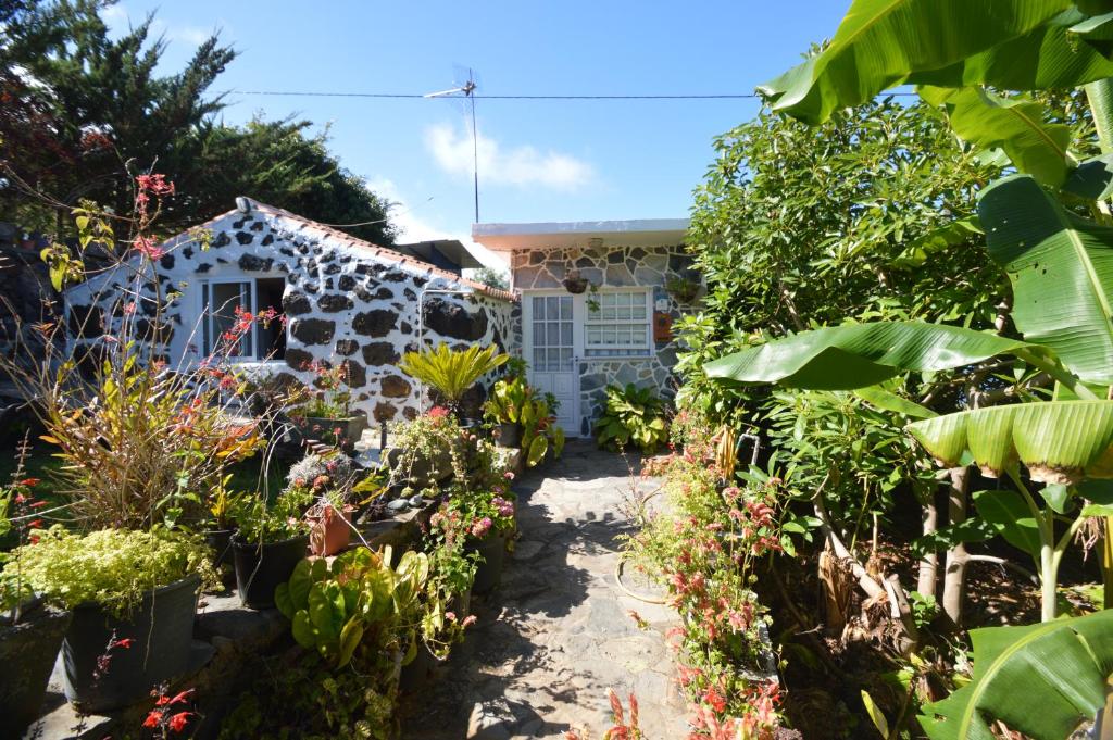 un jardín frente a una casa con plantas en Inés, en Tijarafe