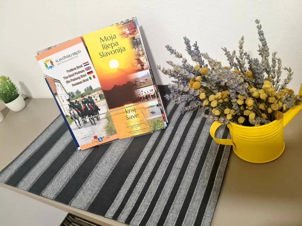 BoNiToS, SOBE-ROOMS - 9